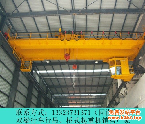 雙梁行車行吊廠家074