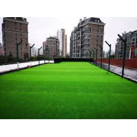 長寧人造草坪款式新穎，人造草坪施工廠家