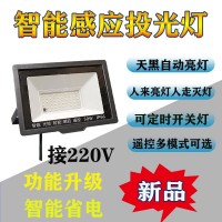 光控感應投光燈220V超亮戶外投光燈天黑自動亮