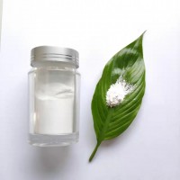 九朋電子級催化陶瓷15nm高純5N氫氧化鋁粉CY-LH20G
