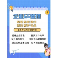 規范化管理咨詢/基礎管理咨詢